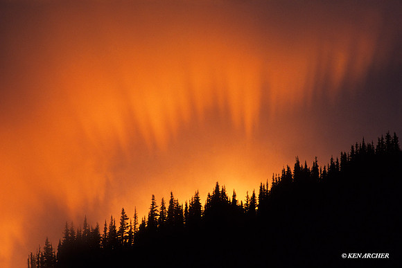 Hurricane Ridge