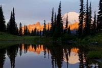 MRNP02102 - Mount Rainier National Park