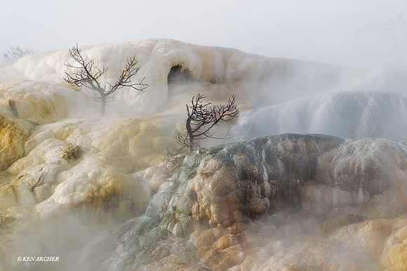 YSWR00715 - Yellowstone in Winter