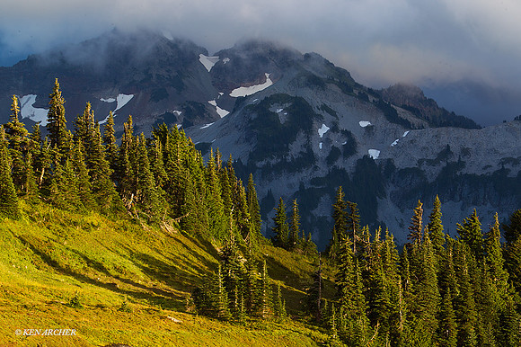 MRNP02175 - Mount Rainier National Park
