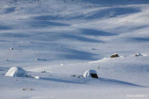 YSWR00203 Yellowstone in Winter