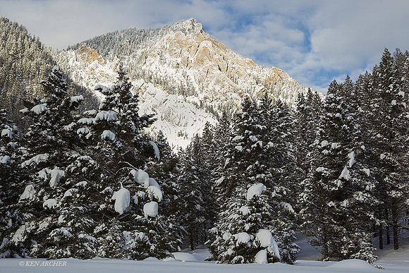 YSWR01536 - Yellowstone Winter