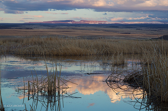 MLHR00377 - Malheur NWR