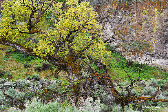 KLBN00080 - Klamath Basin