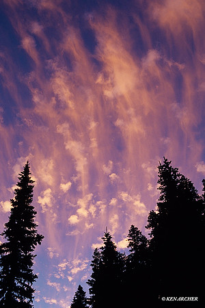 MRNP010133 Mount Rainier