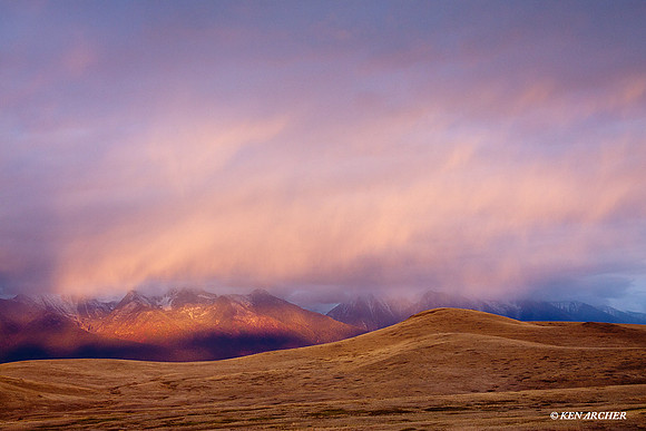 BSNR00116 Bison Range NWR