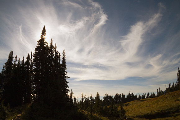 MRNP01047-Mount-Rainier-National-Park