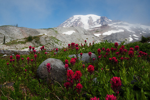 MRNP00211-Mount Rainier