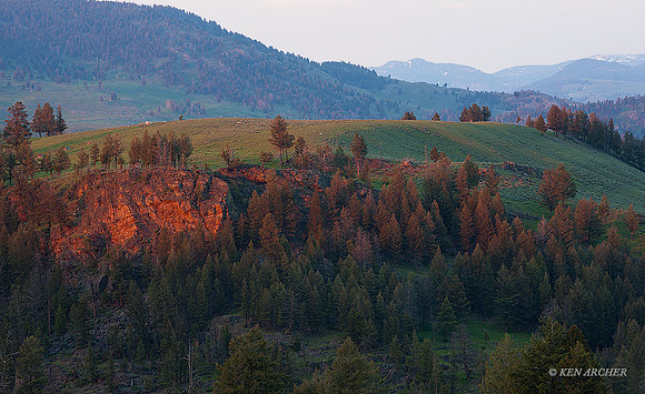 YSNP00353 - Yellowstone NP