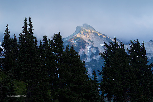 MRNP02177 - Mount Rainier National Park
