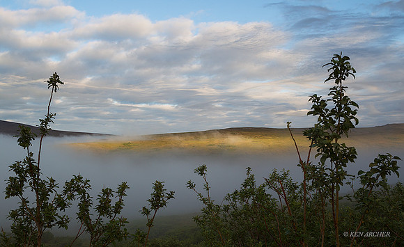 NMLS00956 - Seward Peninsula