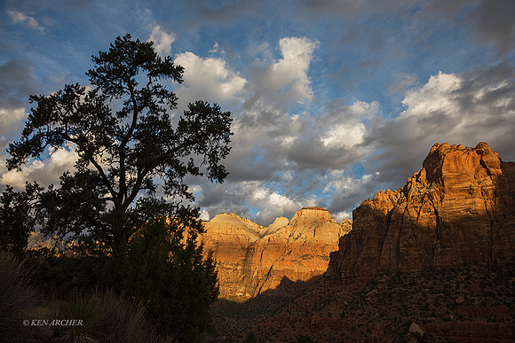 ZNNP00631 - Zion NP