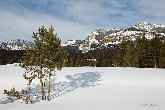 YSWR00480 Yellowstone in Winter