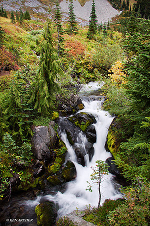 MRNP01286 Mount Rainier National Park