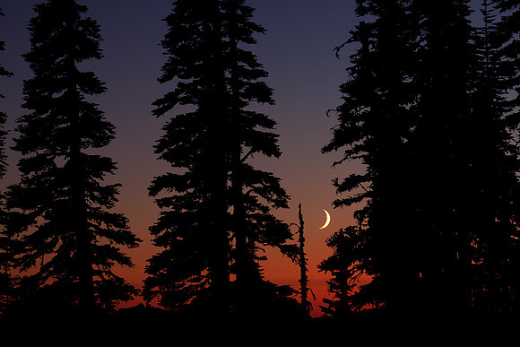 MRNP01131-Mount-Rainier-National-Park