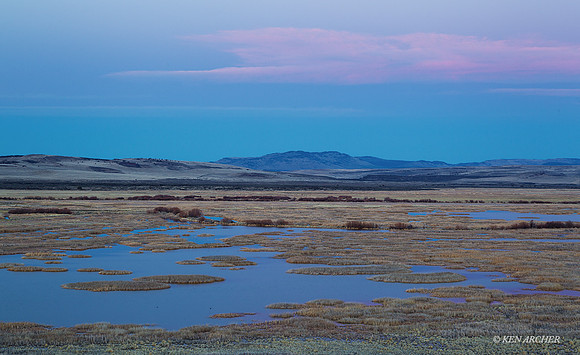 MLHR00431 - Malheur NWR