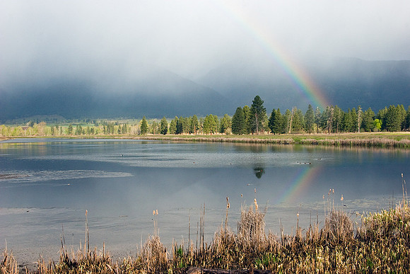 MASE00043-Marsh-Wetlands