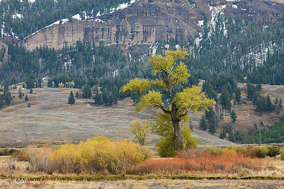 YSNP01411 - Yellowstone National Park