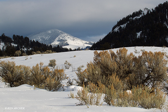 YSWR00002 Yellowstone in Winter