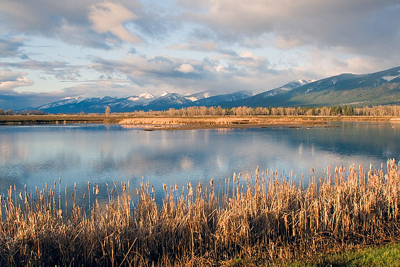 MASE00021-Montana-Wetlands