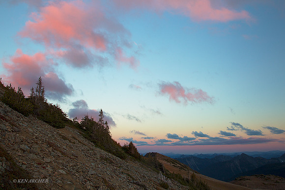 MRNP02891 - Mount Rainier National Park