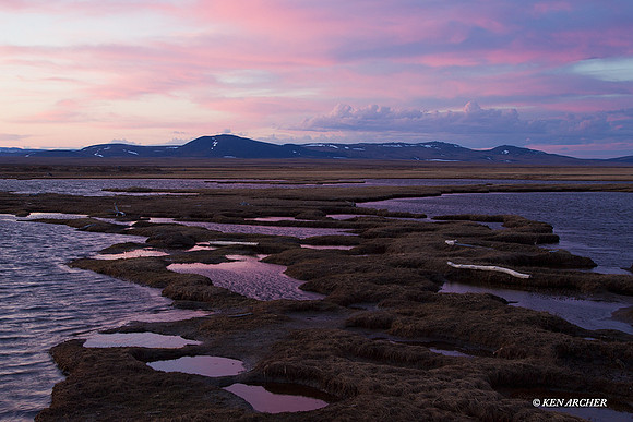 NMLS00075 Seward Peninsula, Alaska