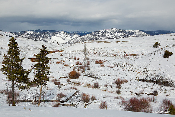 YSWR00493 Yellowstone in Winter