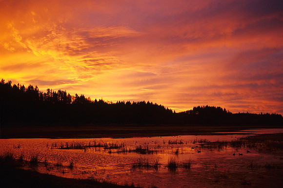LDSC010147-Sunrise-Over-Mountain-Marsh