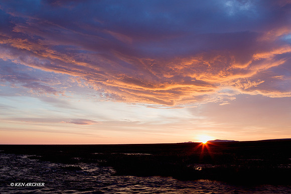 Seward Peninsula, Alaska - NMLS00131