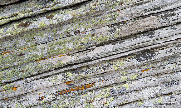 NMLS00429 Seward Peninsula