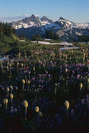 MRNP920219-Tatoosh-Moutain-Range