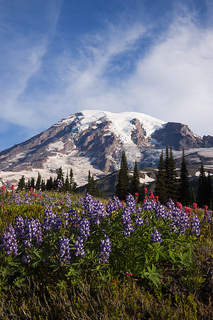 MRNP00642-Mount-Rainier-National-Park