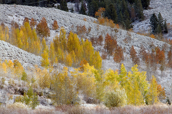 GTNP00034-Grand-Tetons-National-Park