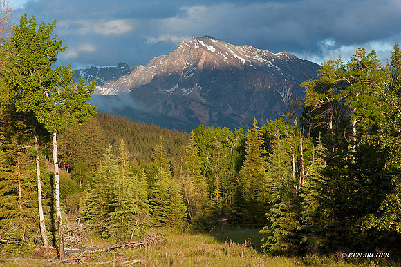 JRNP00016 Jasper National Park