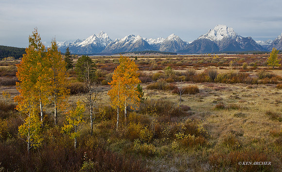 GTNP00216 - Grand Tetons National Park