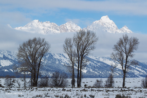 GTWR00065 - Grand Tetons