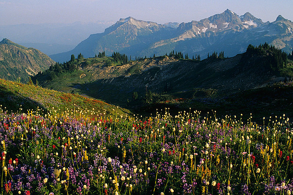 MRNP010189-Tatoosh-Mountains