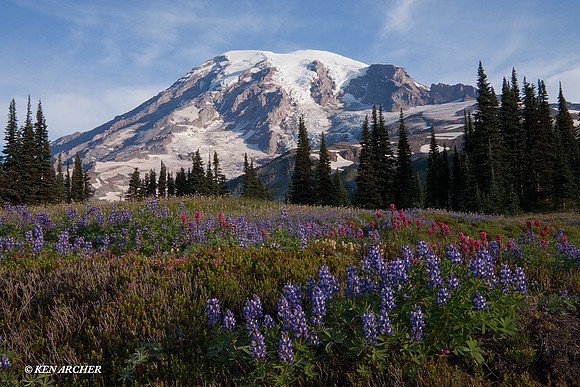 MRNP00631 Mount Rainier National Park