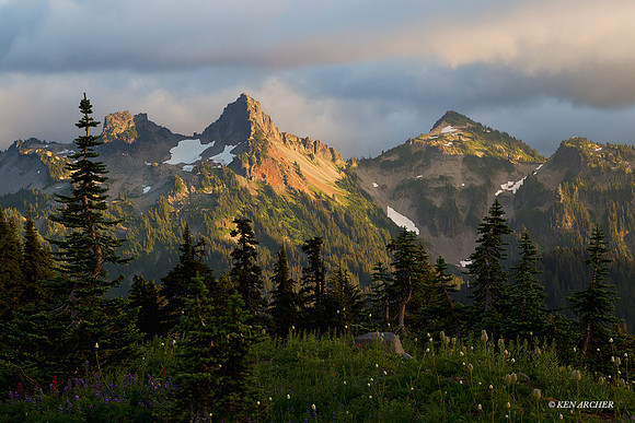 MRNP01859 Mount Rainier National Park
