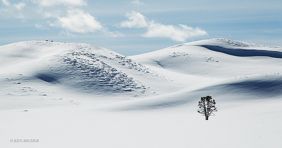 YSWR00397 Yellowstone in Winter