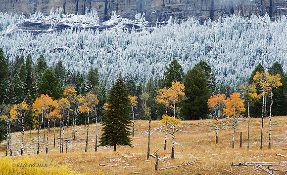 YSNP00651 - Yellowstone National Park