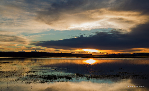 MLHR00509 - Malheur NWR