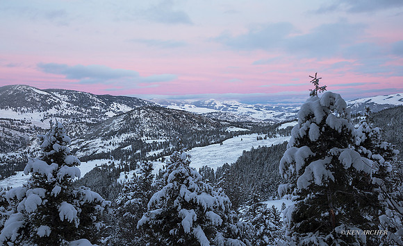 YSWR01885 - Yellowstone Winter