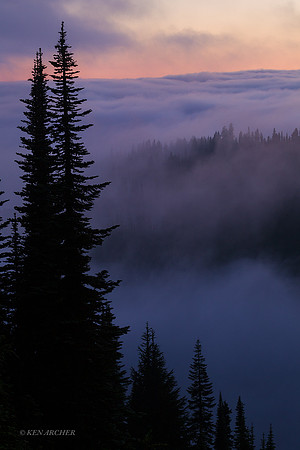 MRNP02672 - Mount Rainier National Park