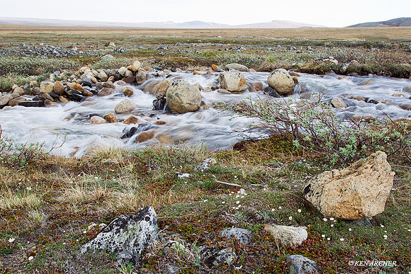 NMLS00168 Seward Peninsula, Alaska