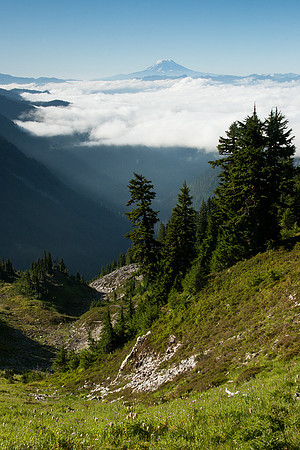 MRNP00280 Mount Rainier, Pinacle Peak
