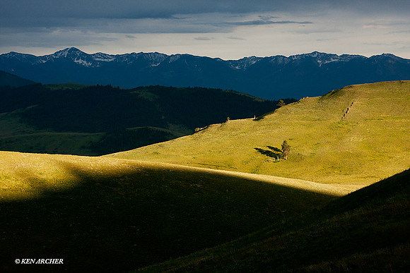 BSNR00018 Bison Range NWR