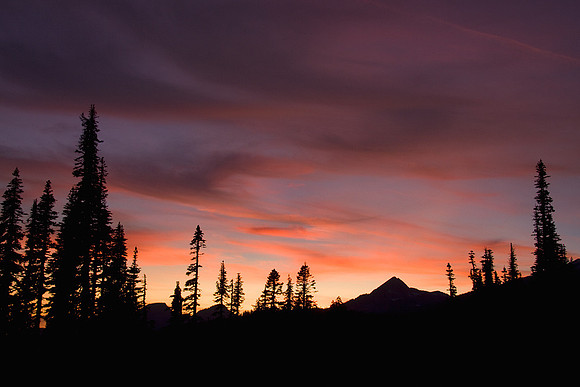 MRNP00748-Mount-Rainier-National-Park