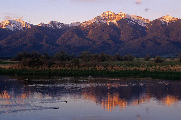 LDSC010156 Nine Pipes NWR, Mission Mountains