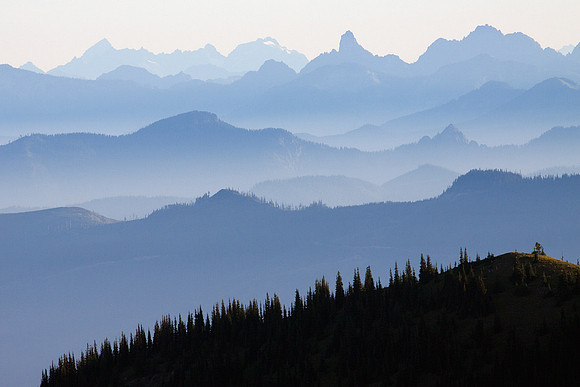 MRNP00765-Mount-Rainier-National-Park